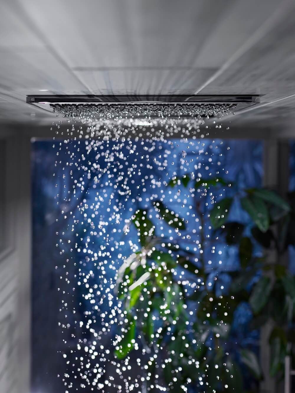 Kohler Real Rain